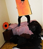 Filename=023.jpg
Filesize=177KiB
Dimensions=1080x1350
Date added=Dec 26, 2023 023.jpg